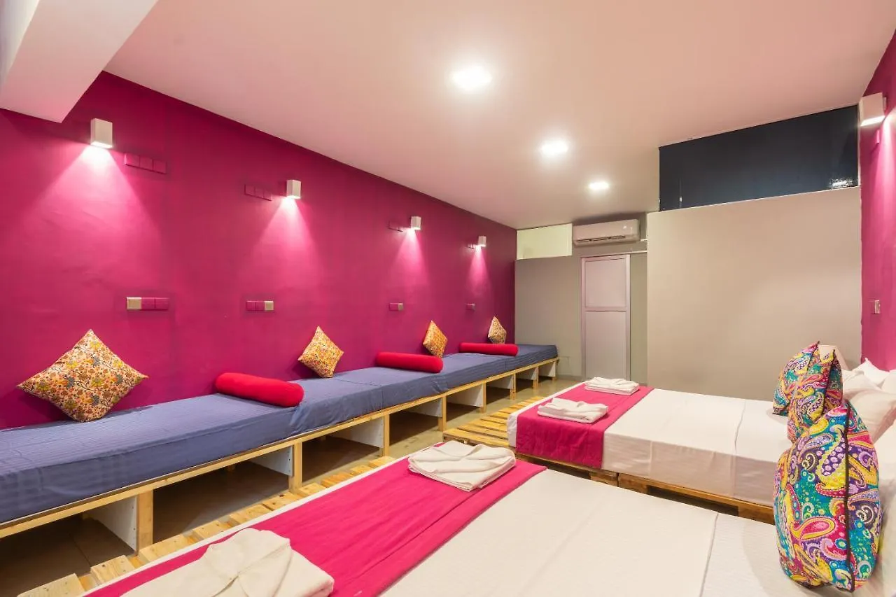 My Little Island Hostel Colombo Sri Lanca